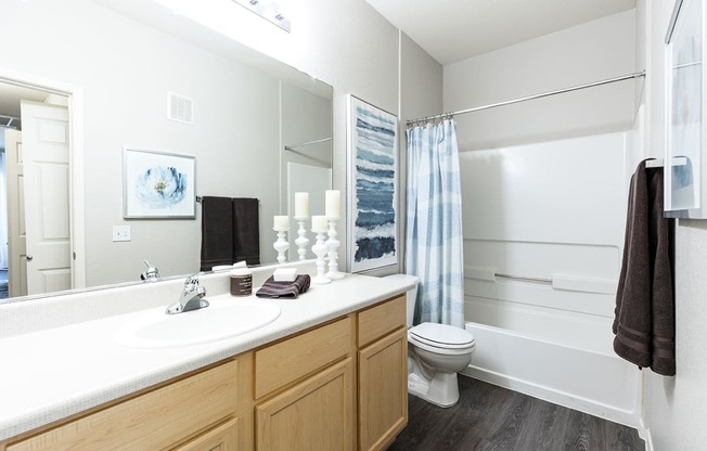 Bathroom vanity and shower
