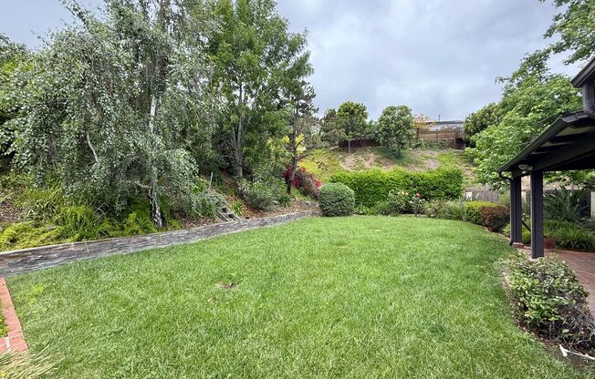 4 Bedroom Home in Del Cerro with SOLAR!!