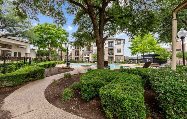 A tree in a landscaped area with a building in the background.