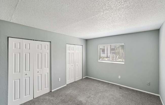 A room with a white door, a window with blinds, and a carpeted floor.