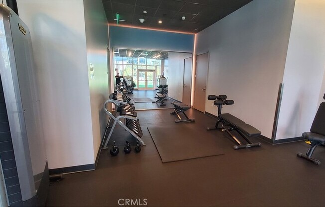 Studio, 1 bath, 503 sqft, $2,200, Unit 521