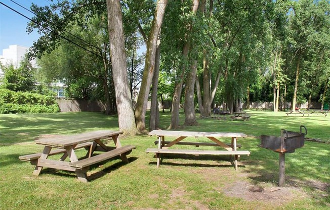 Picnic Area