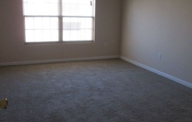 1 bed, 1 bath, 981 sqft, $1,132, Unit 07-304