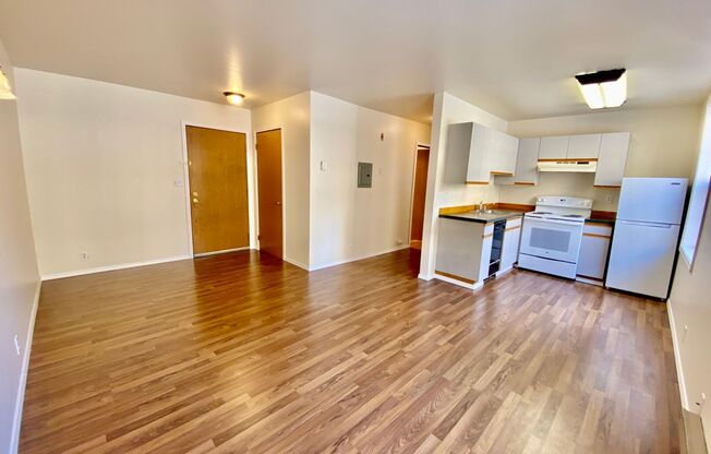 1 bed, 1 bath, 500 sqft, $1,495, Unit 215