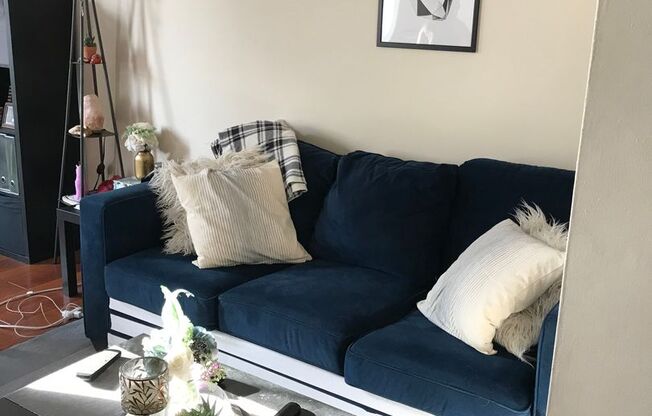 1 bed, 1 bath, 528 sqft, $1,300, Unit 206