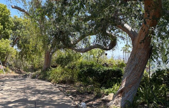 Mt Helix Custom Home with Panoramic Views for Lease