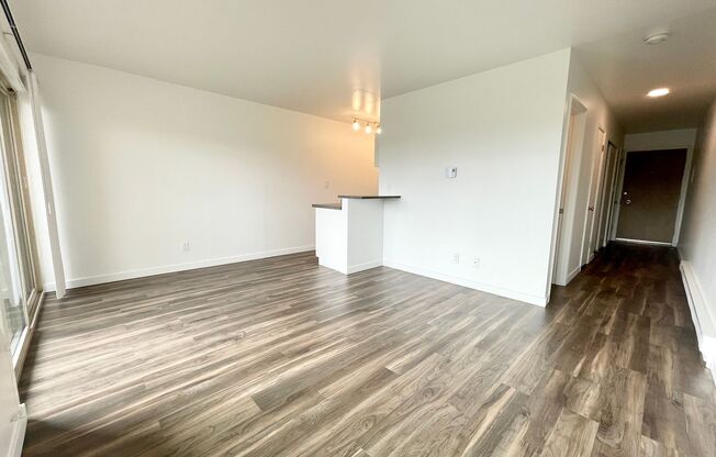 Studio, 1 bath, 370 sqft, $1,450, Unit 207