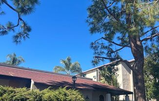 Spacious 1 bedroom Condo with Beautiful Views! Water, sewer, and trash included! Move In Ready!