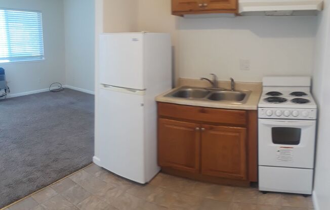 1 bed, 1 bath, 500 sqft, $1,050