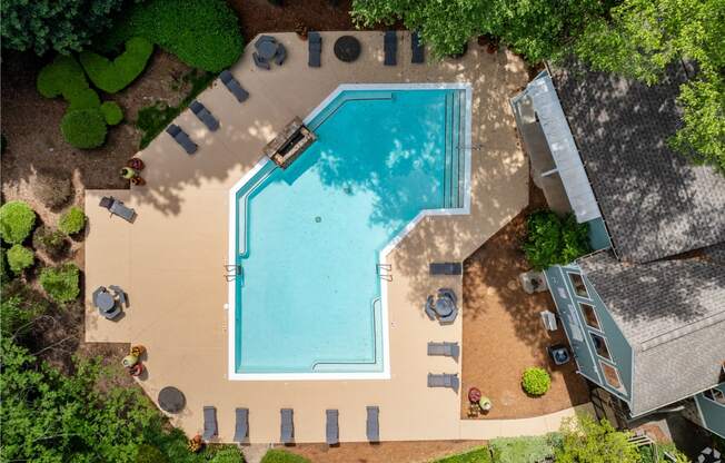 arial view of a swimming pool in a backyard with trees