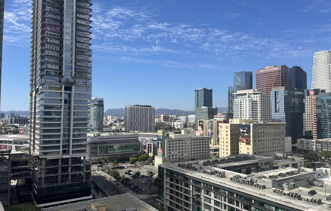 1 bed, 1 bath, 1,010 sqft, $3,400, Unit 1704