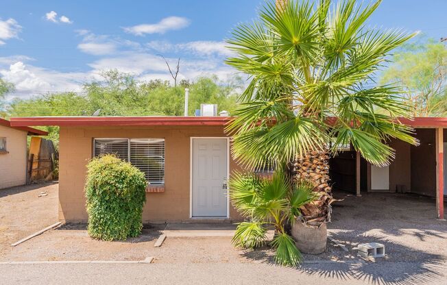 1 bed, 1 bath, 550 sqft, $995, Unit 03