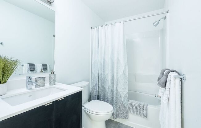 Studio, 1 bath, 381 sqft, $1,280, Unit 513