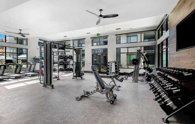 A gym with a variety of equipment including treadmills, weights, and a fan.