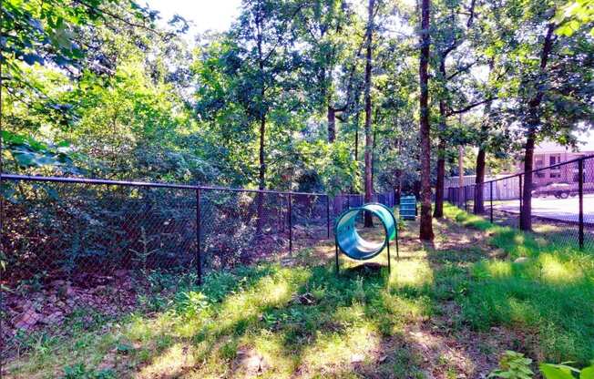 A green playground slide in a sunny, wooded area.