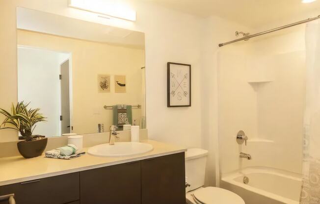 Ballard Lofts Apartment Amenities Spacious Bathrooms with Mounted Lighting and Plenty of Storage Space
