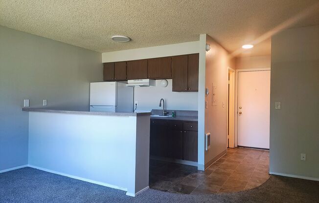 Studio, 1 bath, 420 sqft, $1,045, Unit 51