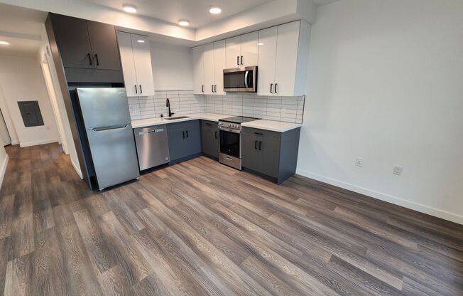 1 bed, 1 bath, 385 sqft, $1,795, Unit 206