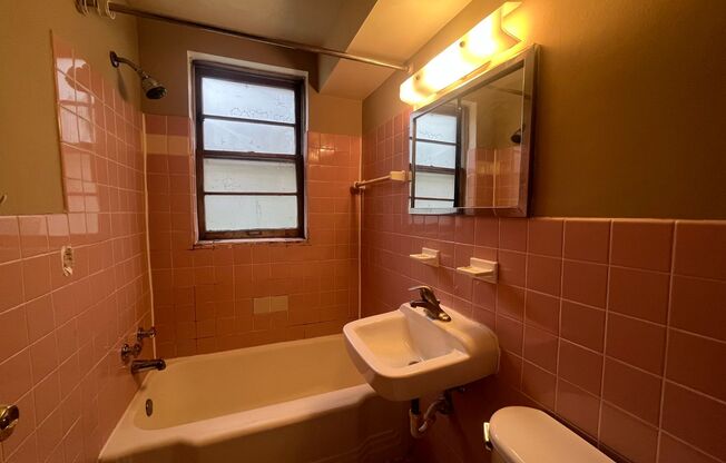1 bed, 1 bath, 356 sqft, $915, Unit 8