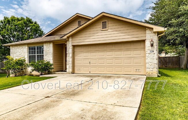 229 HEREFORD ST