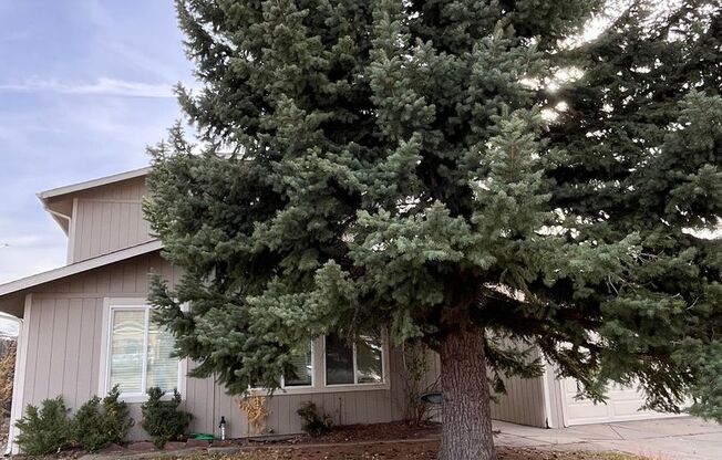 Lovely 3 bed, 2 bath Longmont home - AVAILABLE 11/15