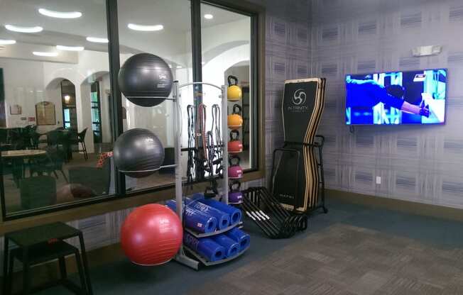Fitness Center at Orchid Run Apartments in Naples, FL