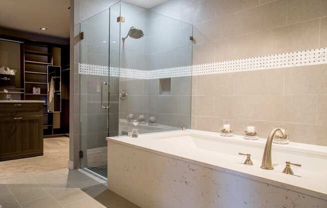 Luxury Penthouse Master Bathroom