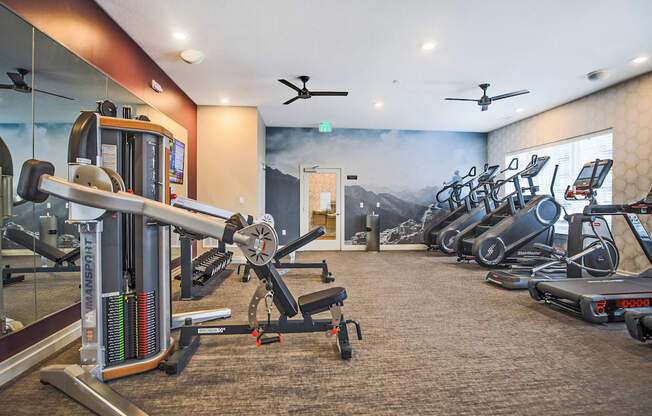 A gym with a variety of exercise equipment including treadmills, stationary bikes, and weight machines.