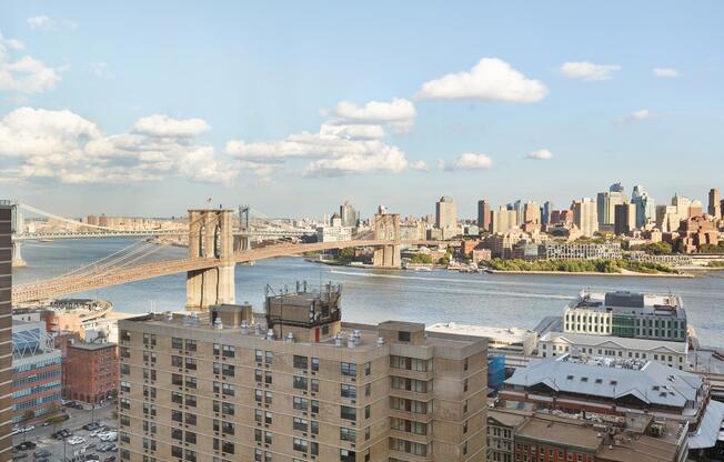 1 bed, 1 bath, $6,000, Unit 10-E