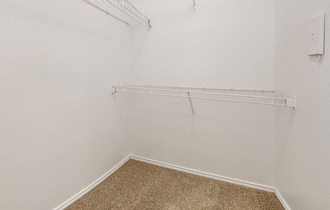 a walk in closet with a shelf on the wall and a carpeted floor