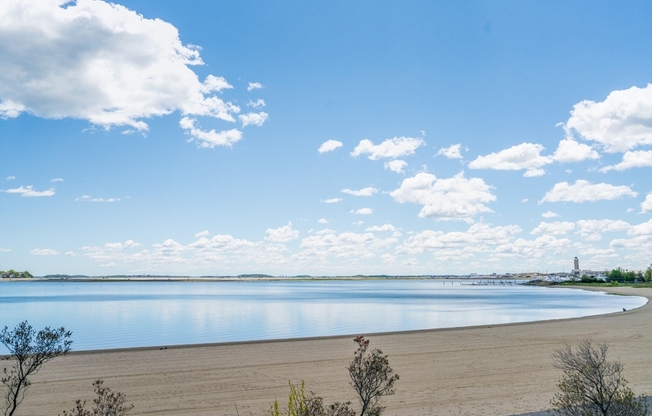 Studio, 1 bath, 462 sqft, $2,315, Unit 310