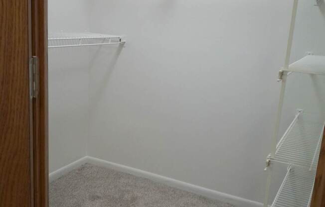 Empty white shelves in a room with carpeted floor.