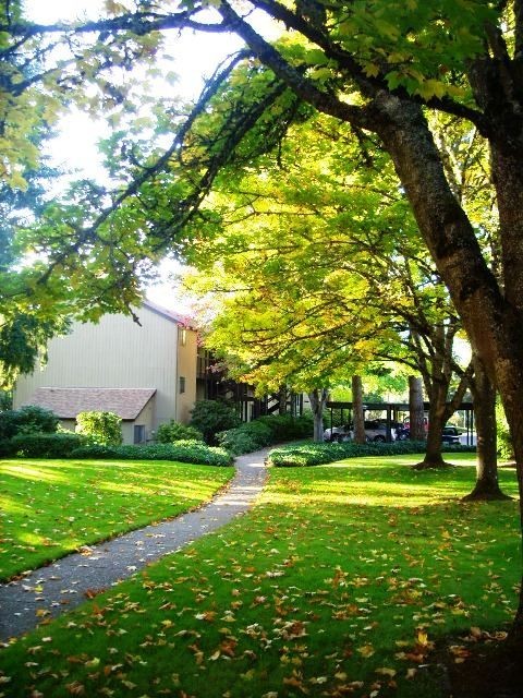 1 bed, 1 bath, 700 sqft, $1,425, Unit 0224