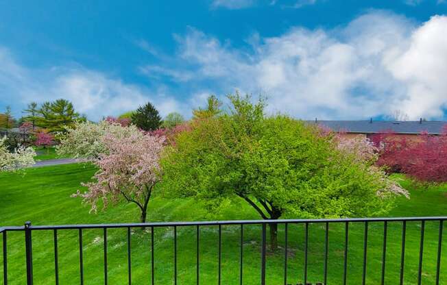 Spring season view from the balcony of a yard with trees and a building in the background at Ashmore Trace.