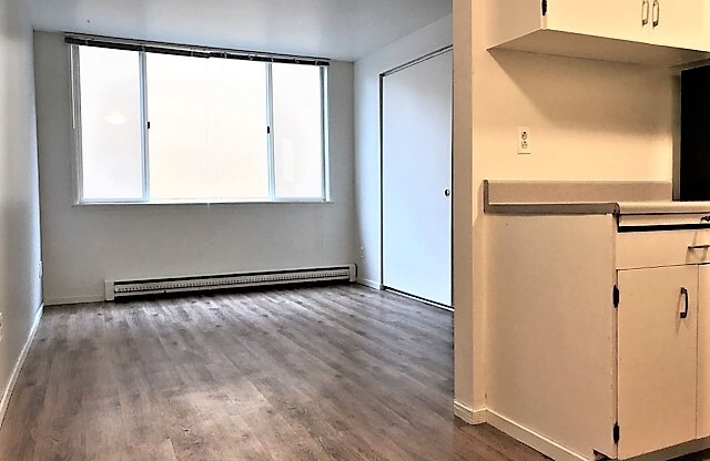 1 bed, 1 bath, 300 sqft, $1,350, Unit 208