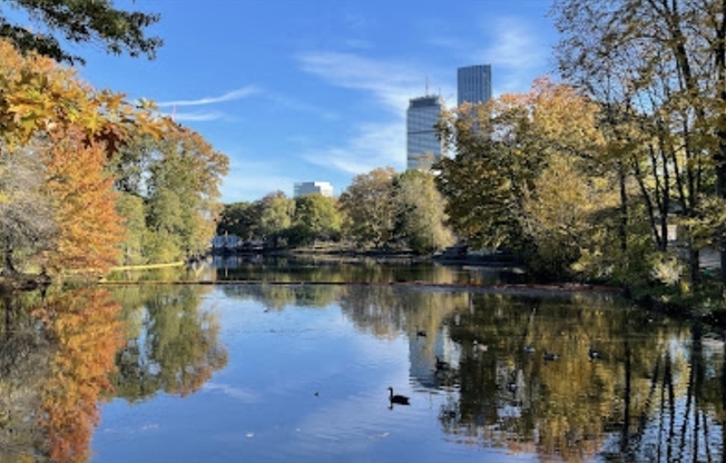 3 beds, 1 bath, 837 sqft, $5,600, Unit 4