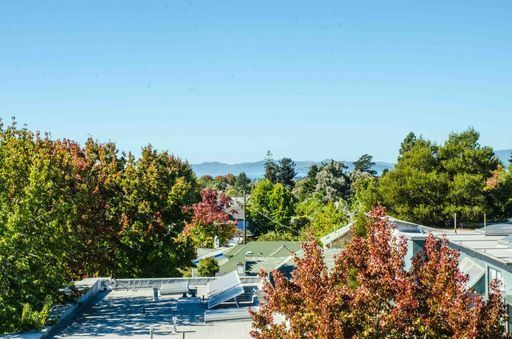 3 beds, 2 baths, 1,035 sqft, $3,995, Unit 206