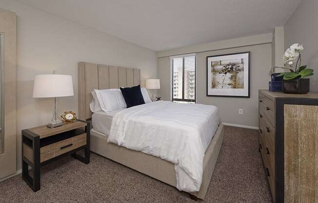 PLATINUM upgrade spacious bedroom with a large window at Trillium Apartments, Fairfax, Virginia