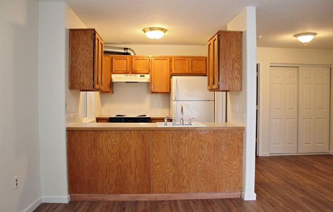 1 bed, 1 bath, 600 sqft, $1,095