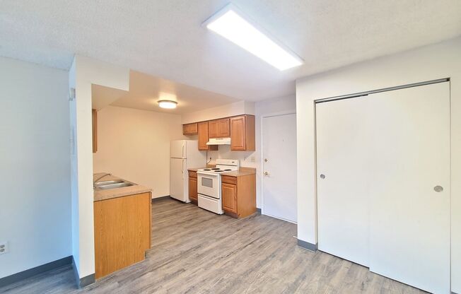 1 bed, 1 bath, 595 sqft, $995, Unit 101