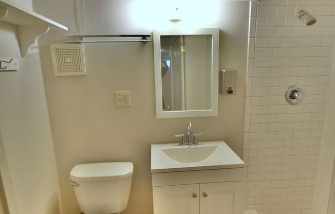 Studio, 1 bath, 350 sqft, $1,100, Unit C