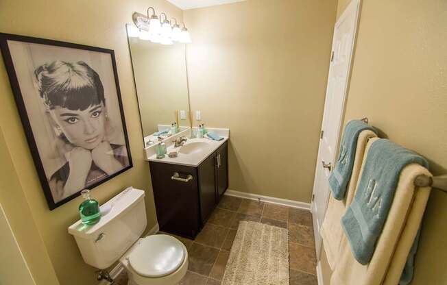 A bathroom with a toilet, sink, and a framed picture of a woman on the wall.