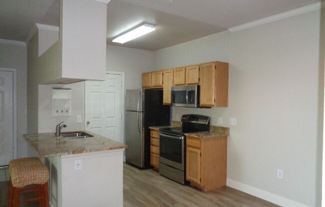 1 bed, 1 bath, $1,199