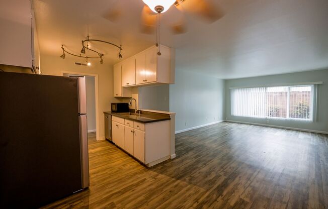 2019 Shoreline Drive