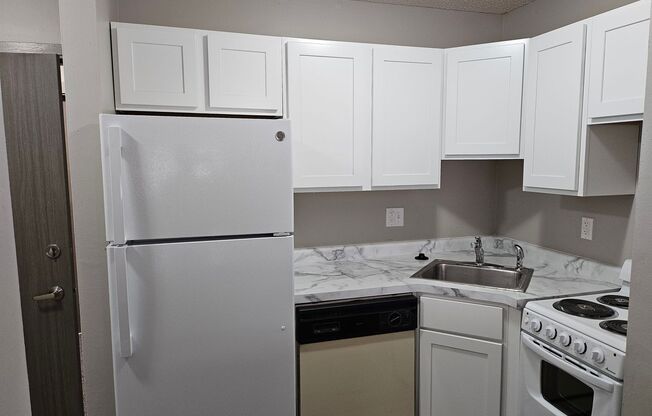 Studio, 1 bath, 480 sqft, $700, Unit 110