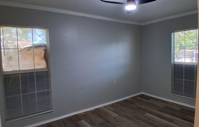 Newly renovated 3bed/2bath home in plant high district