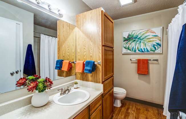 a bathroom with a sink and a toilet and a mirror