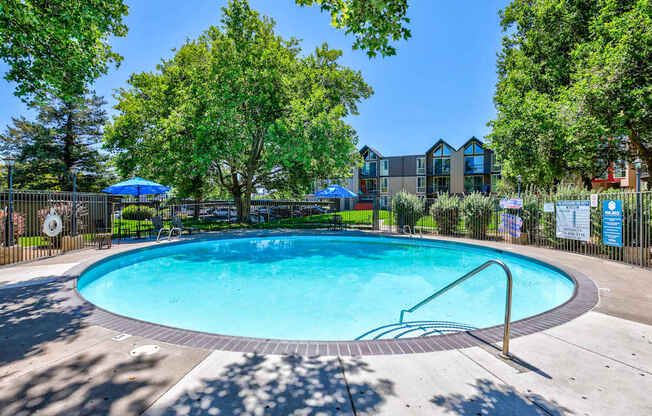 A swimming pool surrounded by trees and a fence.