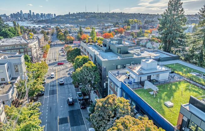 1 bed, 1 bath, 461 sqft, $1,750, Unit 201