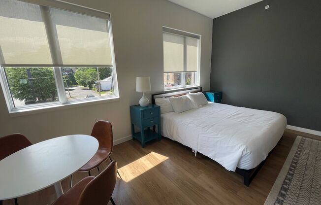 Studio, 1 bath, 546 sqft, $1,600, Unit 201